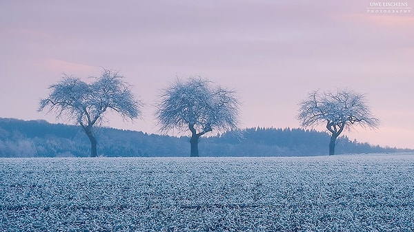 12-21 Декабря