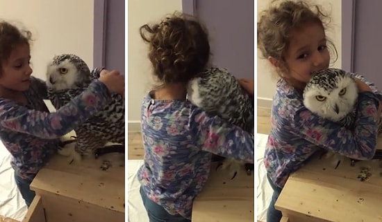 Dünya Sevimlisi Ufak Kızın Baykuş Arkadaşı ile Tanışma Anı