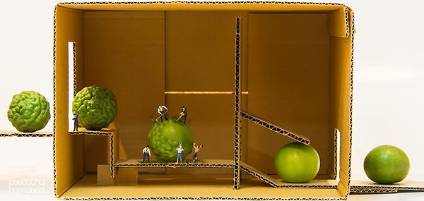 17. Фабрика зеленых лимонов