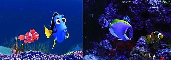 14. Marlin, Nemo ve Dory, Kayıp Balık Nemo