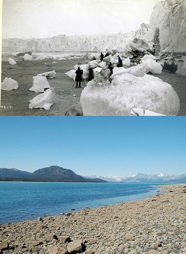 Alaska Buzulları; 1880ler - 2005 Arası