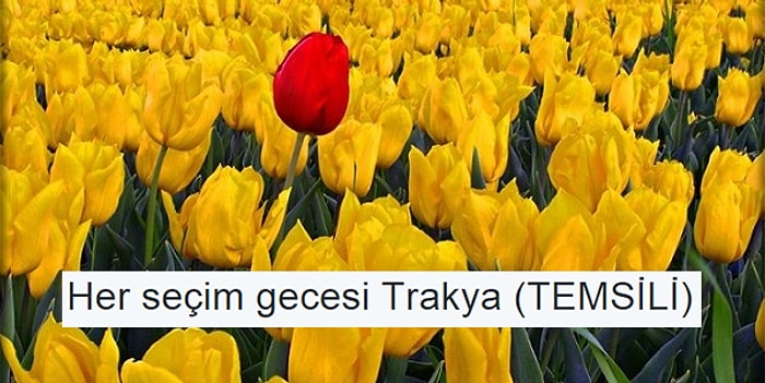 Ne Terör Ne Politika, Yaşasın Kafası Güzel Trakya: Trakya'dan Seçim Sonrası Tepkileri