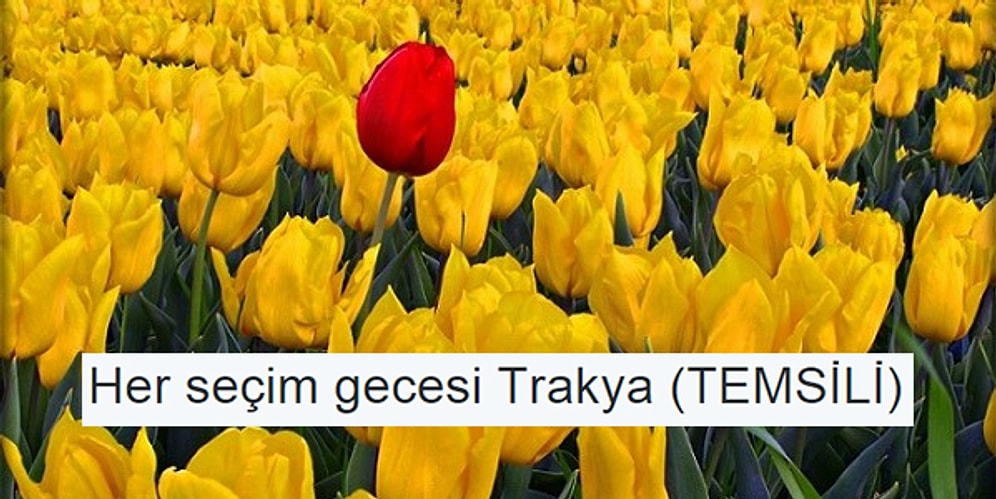 Ne Terör Ne Politika, Yaşasın Kafası Güzel Trakya: Trakya'dan Seçim Sonrası Tepkileri