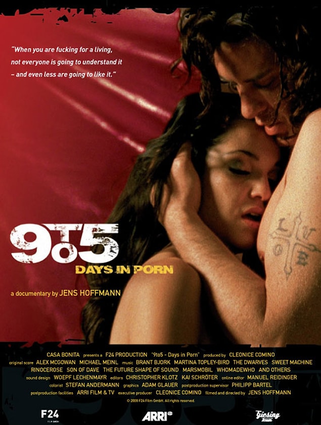 10. 9 to 5: Days in Porn (2008)