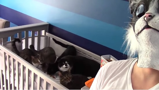 Kedi Maskesi Takan Adamdan Hortlamış Ninelerini Görmüş Gibi Korkan Kediler