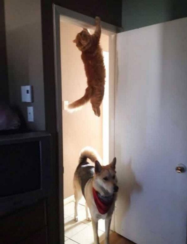 Mission Impossible!