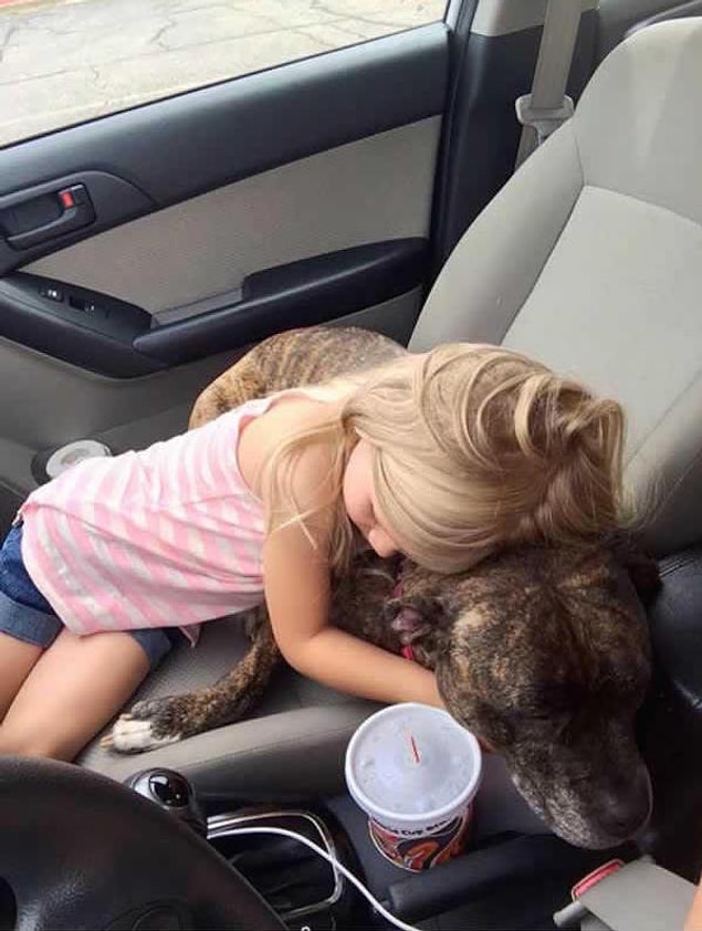 14. Ailesi vurulan köpeklerini veterinere getirdiğinde beklerken köpeğine sarılıp, "acıdığını biliyorum ama üzülme iyileşeceksin ve ben seni oyuncakçıya götüreceğim" diyerek onu rahatlatmaya çalışan bu tatlış.