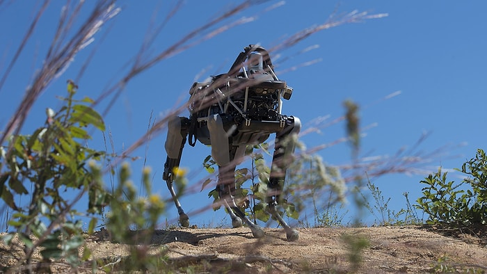 Google’ın Robotu Askerlerle Eğitime Başladı