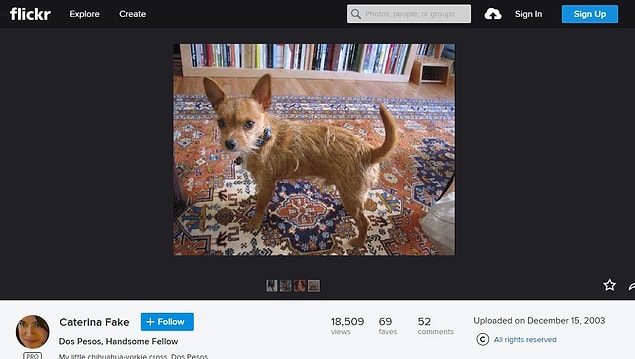 8. İlk flickr fotoğrafı