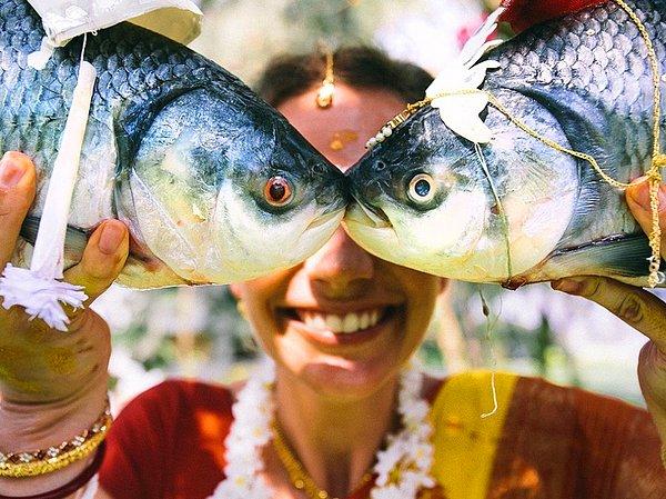 43. Hintli balıklar, Mahabalipuram, Hindistan