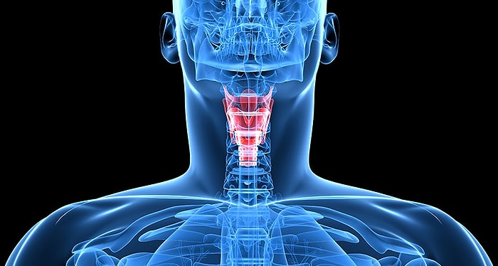 Bilim Adamları Suni Ses Teli Üretti