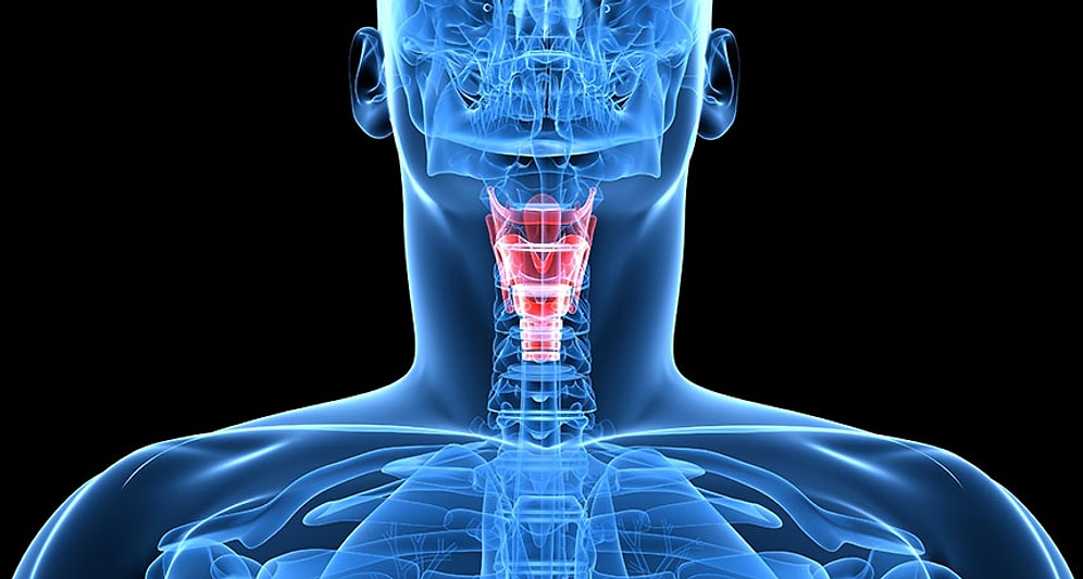 Bilim Adamları Suni Ses Teli Üretti