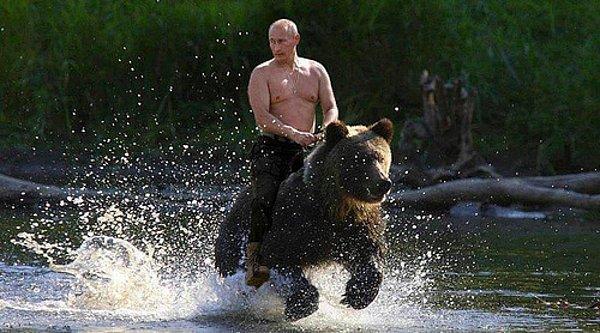 12. Putin'in ayıya bindiği, kaplan beslediği fotoğrafları photoshoplayarak siber savaş başlatmak.