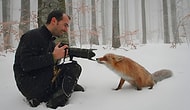 20 доказательств того, что фотограф-натуралист – лучшая профессия на свете