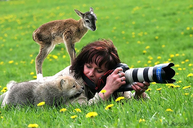 20 доказательств того, что фотограф-натуралист – лучшая профессия на свете
