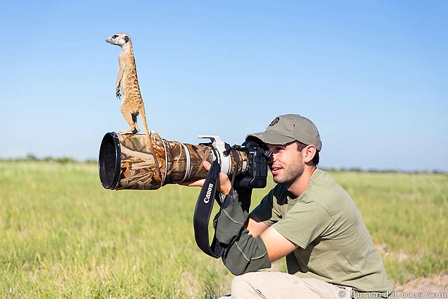 20 доказательств того, что фотограф-натуралист – лучшая профессия на свете