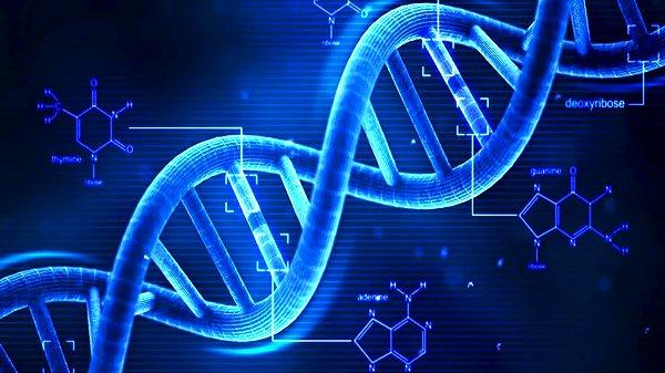 1953 - Cambridge Üniversitesi'nde iki bilim adamı, kalıtsal özellikleri ebeveynden çocuğa taşıyan deoksiribonükleik asit (DNA) adını verdikleri molekül yapısını buldular.