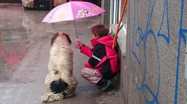 10. Bu çocuk ise o küçücük şemsiyesinde köpeğe de yer açarak ne kadar büyük bir yüreğe sahip olduğunu gösteriyor.