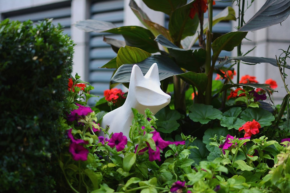 Осенняя охота на керамических лис и кроликов.