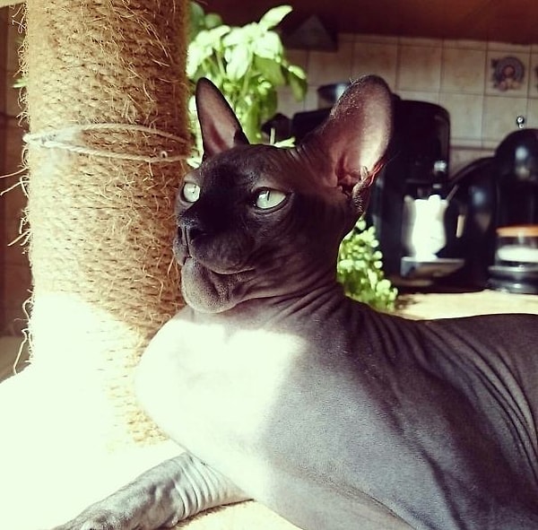 Главное вести себя так, как будто ничего не произошло.