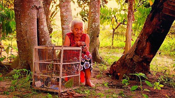 20. The Look of Silence (8 oy)
