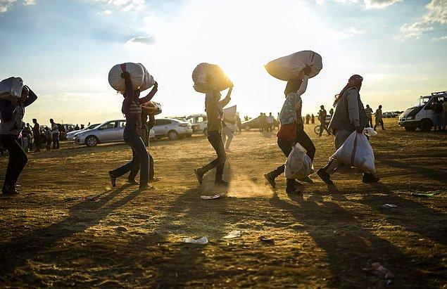 11. 19 Kasım - Türkiye'deki Kayıtlı Suriyeli Mülteci Sayısı 2 Milyonu Aştı