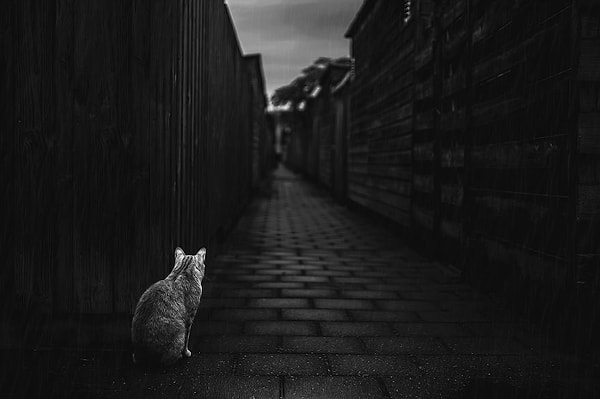 Каждая фотография, сделанной ею, полна контрастов и имеет собственную неповторимую историю и настроение.