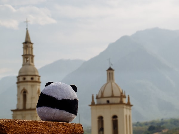 Путешествие панды.