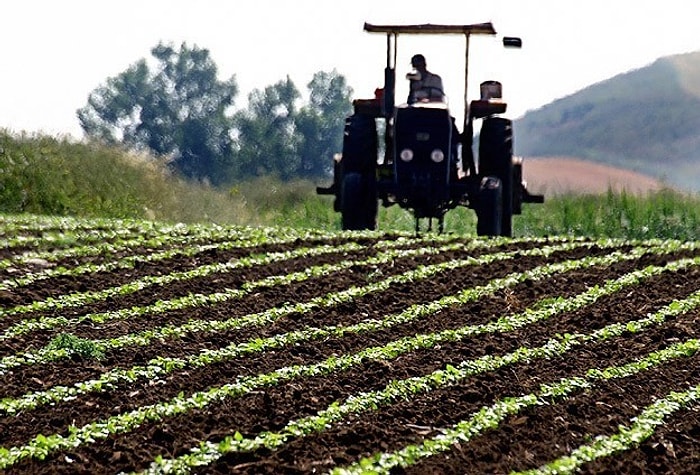 ‘1950'lerde Kişi Başına Düşen 0,75 Hektar Tarım Alanı, 0,34 Hektara Geriledi’