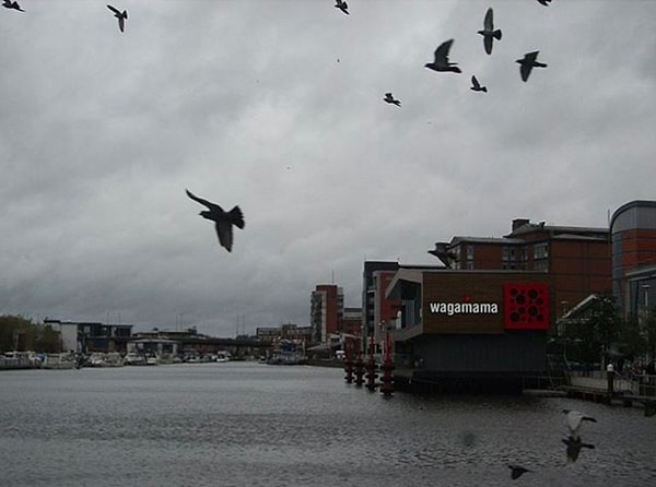 И давайте взглянем правде в глаза – нет ничего лучше, чем, стоя под мрачным небом, прихлёбывать из такой кружки или стаканчика.