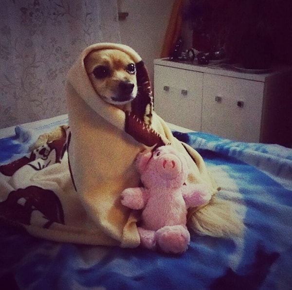 Да и к тому же – если становится слишком холодно, ты всегда можешь найти оправдание тому, чтобы не выходить на улицу или заниматься чем-то ещё.