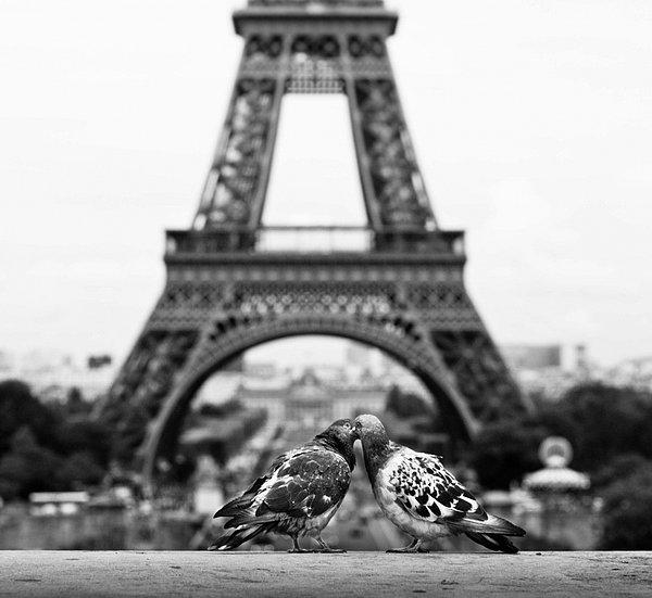 Aşkın şehri Paris.