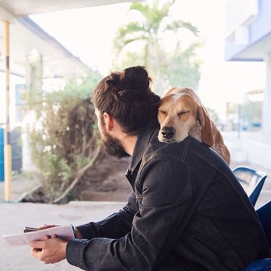 23 причины, почему стоит заводить отношения с парнем, у которого есть собака