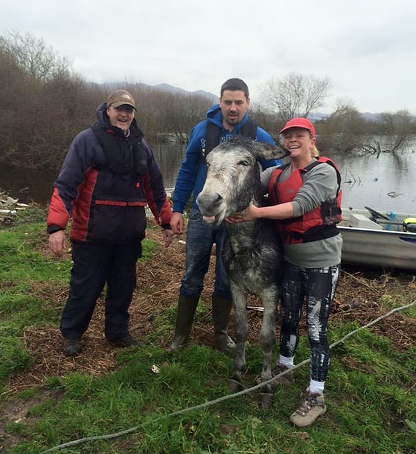 «Сейчас, находясь в сухости и тепле, он занят тем, что поедает горячее пюре».