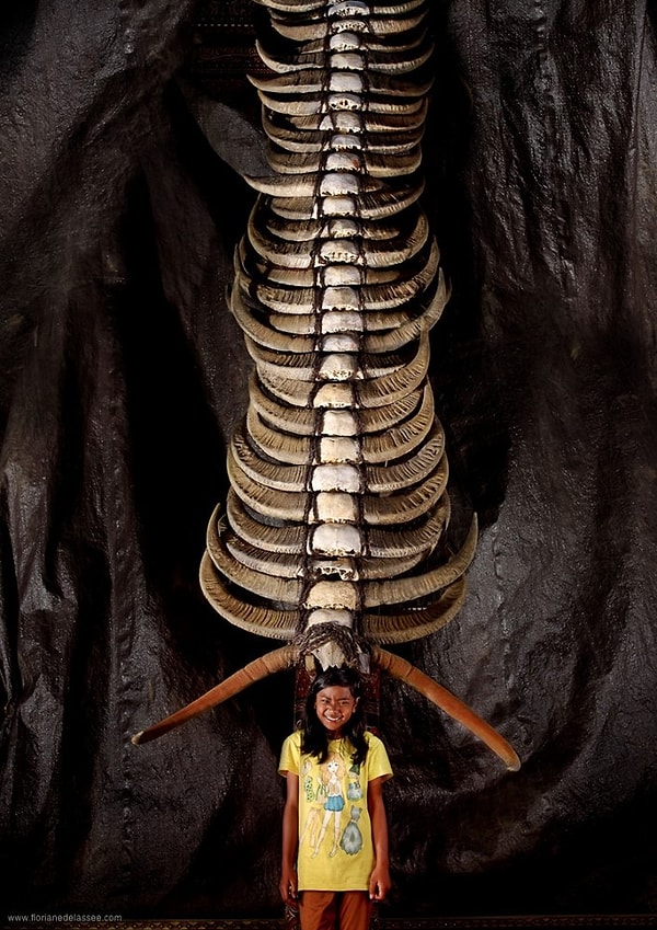 Метафоричный смысл этого проекта: те нагрузки, которые мы испытываем, будь то физические или психологические. Груз традиций, образования, семьи и пр. А сколько ты можешь унести?