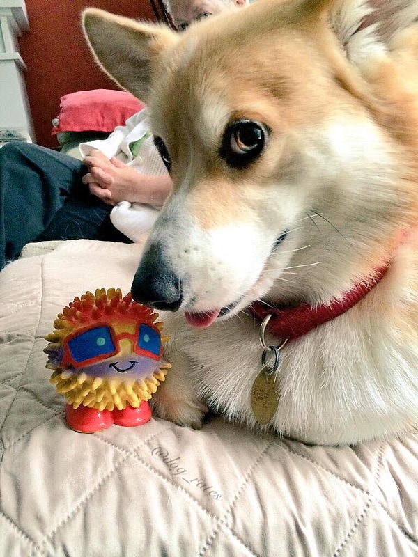 Эйден – ярый фанат жареной еды и задушевных бесед.