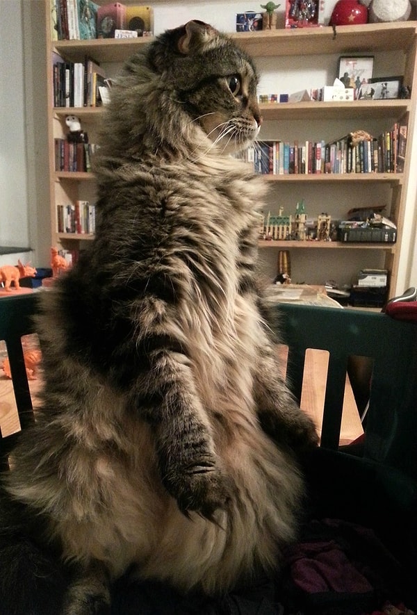 5. "Подожди-ка...ты что открыл пачку чипсов?"