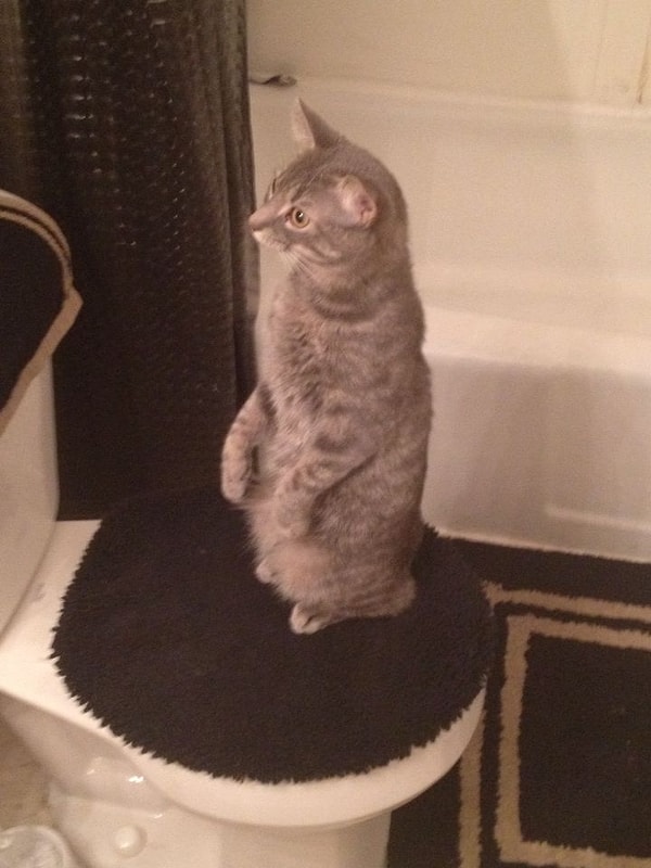 9. "...вы, люди, делаете ЭТО вот ТАК?!"