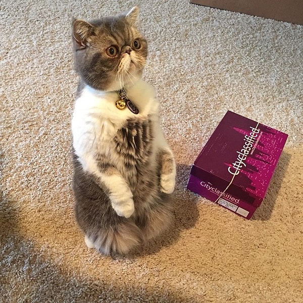 14. "Что значит "эти туфли не подойдут мне по размеру"?