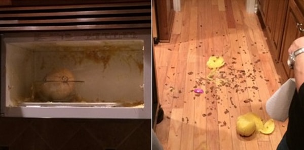 5. Личность, взорвавшая тыкву в микроволновке.