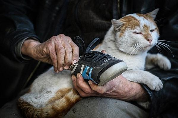 Yaşlı adamın en yakın dostu ise 10 yıl önce trafik kazası geçiren ve onu iyileştirdikten sonra yanından hiç ayırmadığı kedisi Osman...