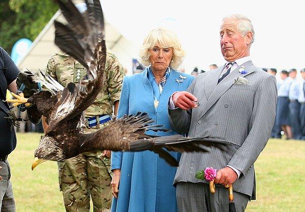 23. Prens Charles ve eşi Camilla'nın Hava Kuvvetleri maskotu olan kel kartala verdikleri tepki