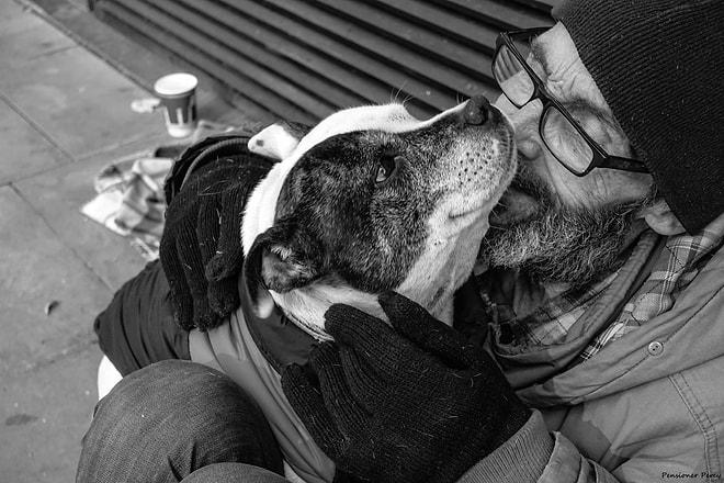 Köpeklerin Sevgilerini Paylaşırken Paraya ve Statüye Bakmadığını İspatlayan 21 Fotoğraf