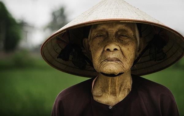 12. Pirinç tarlasında çalışan bir çiftçi. Vietnam.