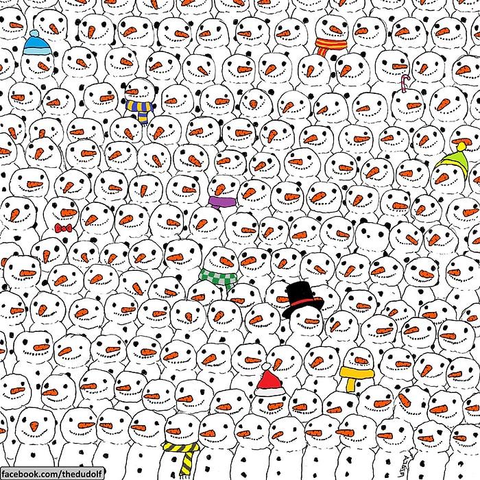 Internet'in Yeni Dalgası! Bu Resimdeki Pandayı 30 Saniye İçerisinde Bulabilecek misiniz?