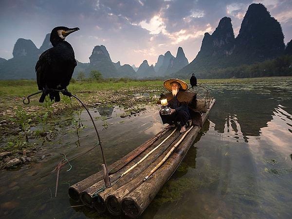 16. Kuş Besleyicisi, Çin