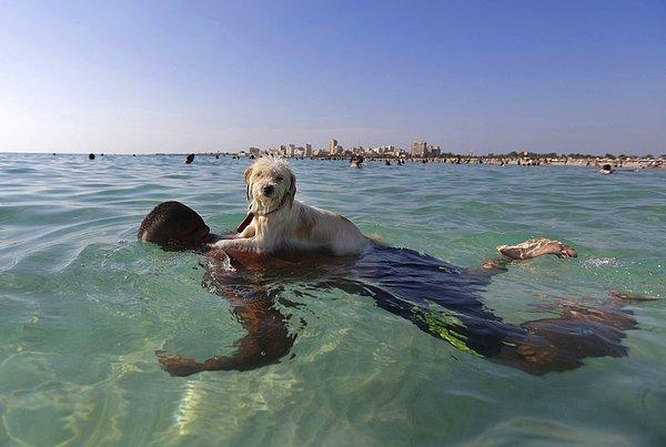 22. Lucky isimli bu köpek, Lübnan'ın Sur kentindeki bir plajda sahibinin sırtına çıkma şansı yakalamış. 20 Eylül 2015.