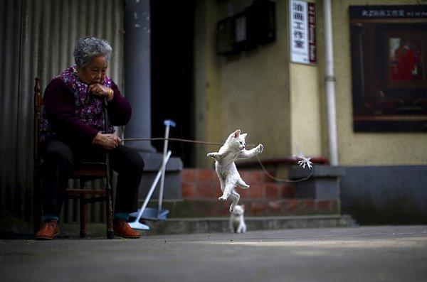 29. Şanghay şehir merkezinde yavru kediyle oynayan kadın. Çin Halk Cumhuriyeti. 12 Nisan 2015.