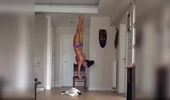 Кошка занимается йогой вместе с хозяйкой