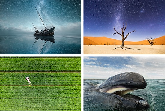 Лучшее за 2015: топ 50 фотографий со всего мира